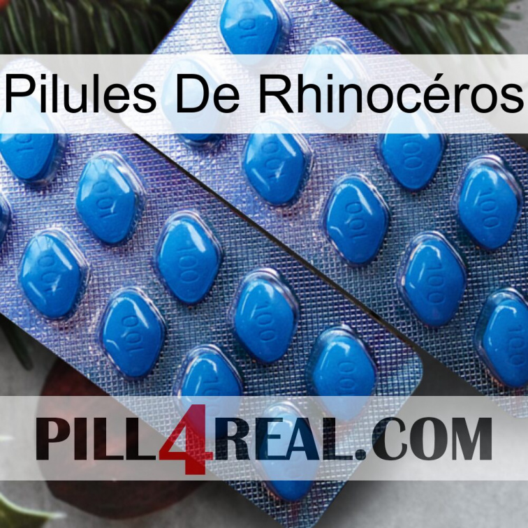 Pilules De Rhinocéros viagra2